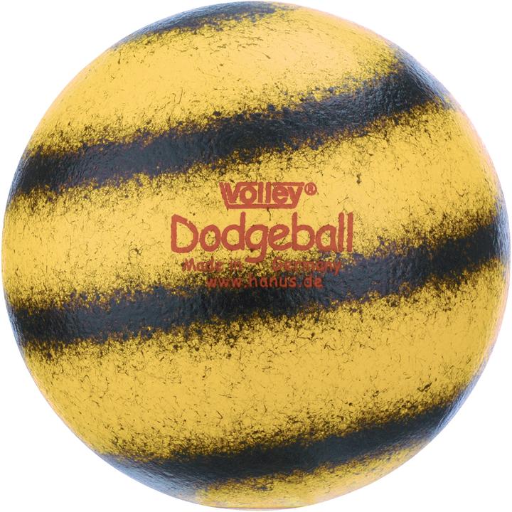 Image du produit Volley Balle en mousse souple Dodgeball