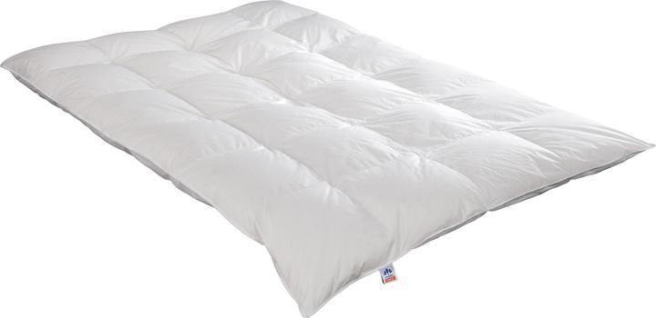 Actual product image Irisette Nora down cassette duvet extra warm (1180 g, 135 x 200 cm)
