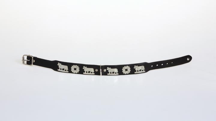 Produktbild Jenni Hemden Appenzellerhundehalsband (34, Hund, Spazieren)