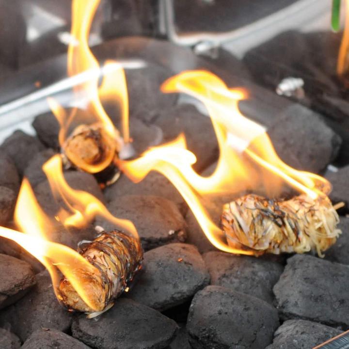Actual product image Fire Lion Ökologische Anzündwolle für Kamin & Grill (240 Stück)