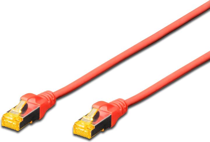 Rot