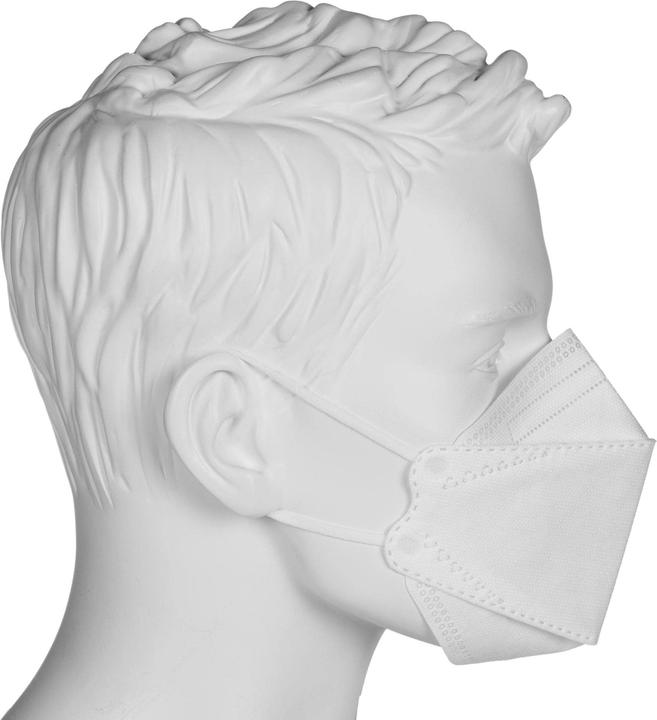 Actual product image Bolisi FFP2 (FFP2, 10 x)