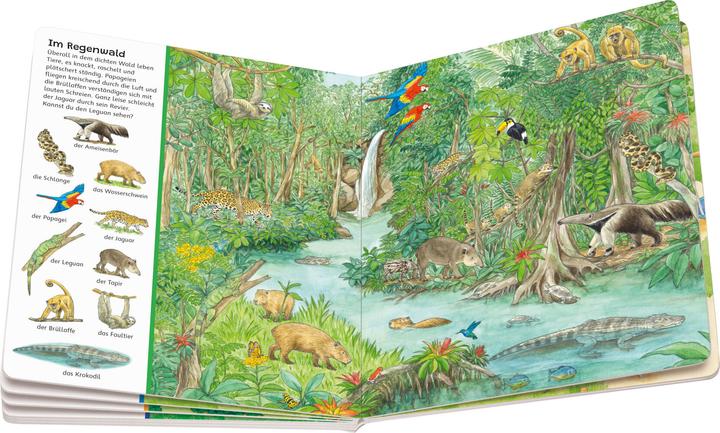Produktbild Ravensburger Mein grosses Sachen suchen: Alle Tiere der Welt (Deutsch, Susanne Gernhäuser, Ursula Weller, 2023)
