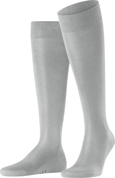 Grigio topo