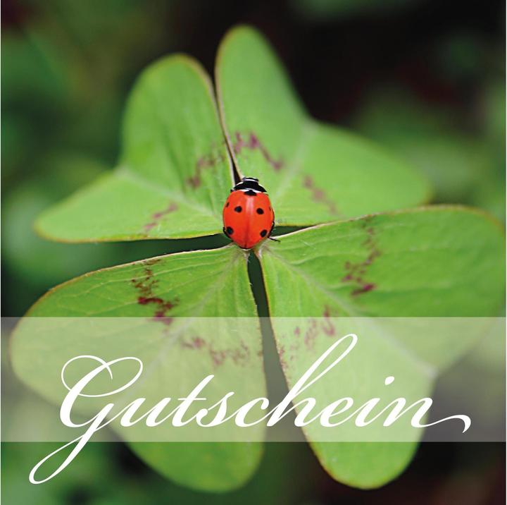 Produktbild Gutscheinkarte Marienkäfer 14.5 x 14.5 cm, 6 Stück (6 Stk.)