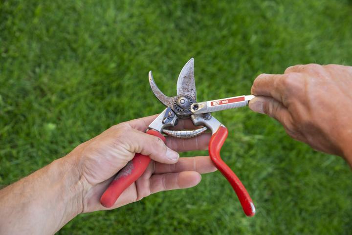 Actual product image Felco 905