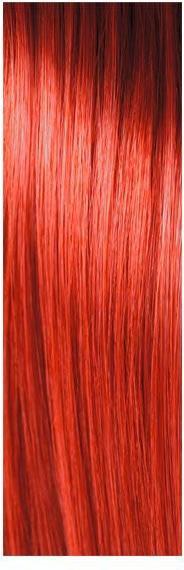 Immagine prodotto pH Argan & Keratin Color (6.66 Biondo Rosso Scuro Biondo Scuro Intensivo)