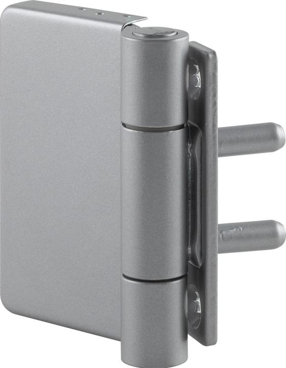 Simonswerk SIMONS Türband Multi 2D/VN 5046, Rollen-ø 20 mm, Bandhöhe 100 mm, silberfärbig