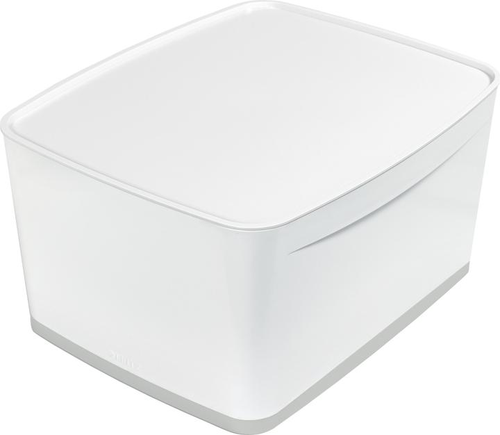 Image du produit Leitz MyBox (31.8 x 19.8 x 38.5 cm, 18 l)