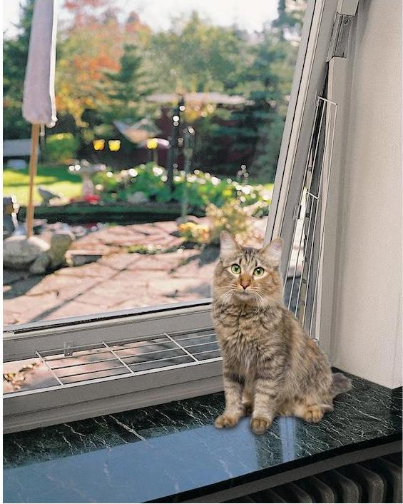Actual product image Trixie Protective grating for windows