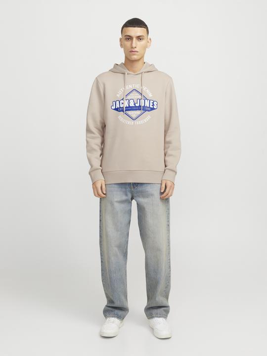 Immagine prodotto Jack & Jones JJELOGO SWEAT HOOD 2 COL 24/25 NOOS (L)