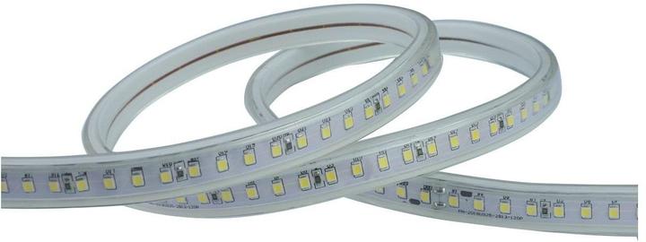 Actual product image Elbro LED light strip on coil (Cold White, 5000 cm, Outdoor, Indoor)
