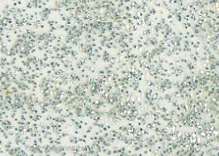 Actual product image Marabu Window Color Fun & Fancy (Glitter silver, 80 ml)