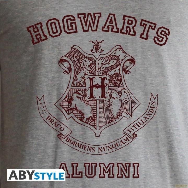 Actual product image ABYstyle HARRY POTTER - Tshirt Alumni man SS grey red - premium (XL)