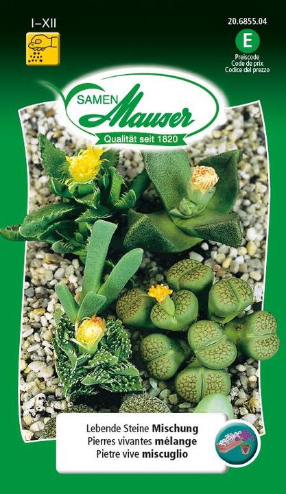 Actual product image Samen Mauser Living stones mixture (Plant seeds)