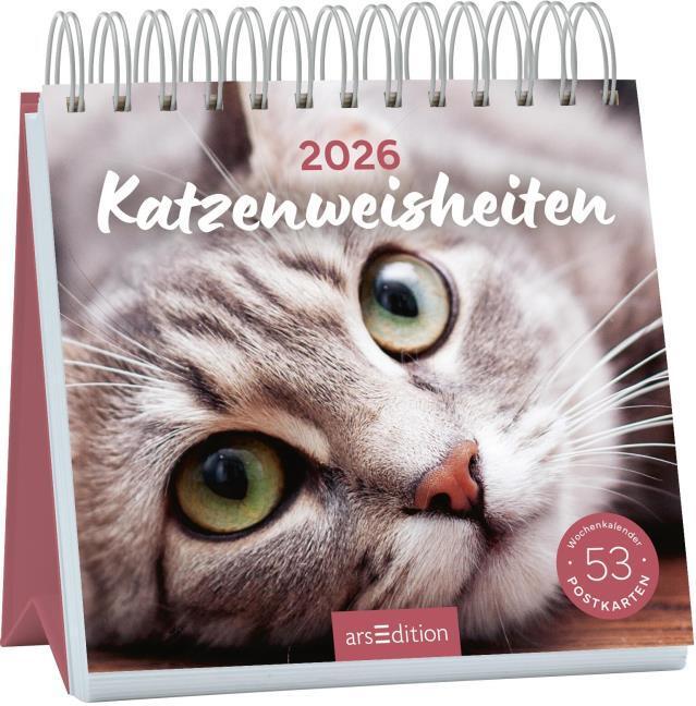 Produktbild Postkartenkalender Katzenweisheiten 2026 (17 x 17 cm, Deutsch)