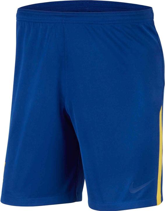 Actual product image Nike Chelsea FC Fourth Shorts (L)