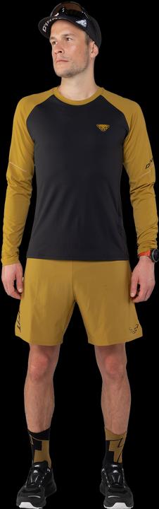 Produktbild Dynafit Alpine Pro L/S Tee (48, M)