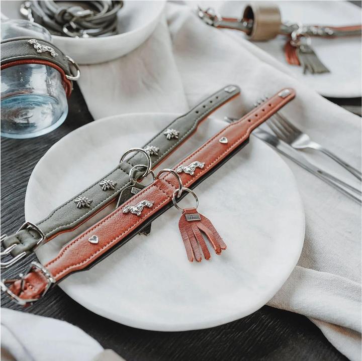 Produktbild Hunter Halsband München für Hunde 55 (Hund, Allgemein)