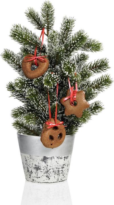 Produktbild Lurch Flexi®Form Lebkuchen