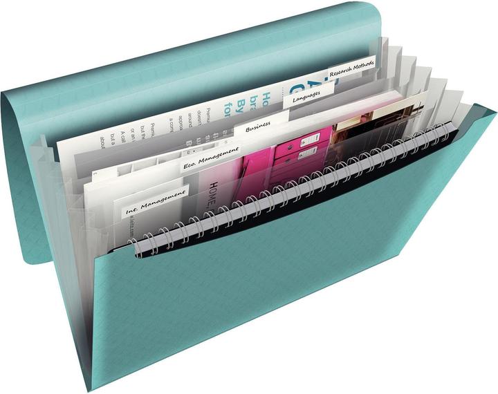 Actual product image Esselte Project folder (A4, 1 x)