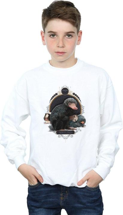 Produktbild Fantastic Beasts Baby Nifflers Sweatshirt Jungen (128)