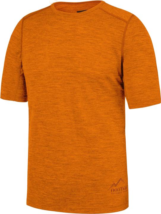 Actual product image Normani Herren Merino T-Shirt Darwin (L)