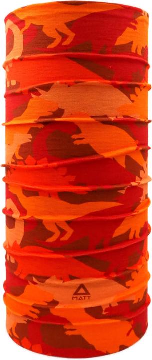 dinocamo