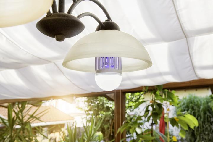 Produktbild Windhager Lichtfalle Leuchtmittel 2in1