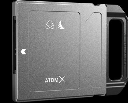 Image du produit Angelbird AtomX SSDmini (1000 Go)