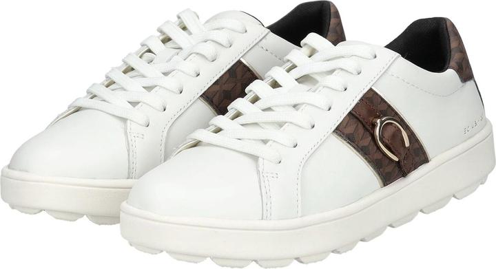 Actual product image Geox Sneaker (41)