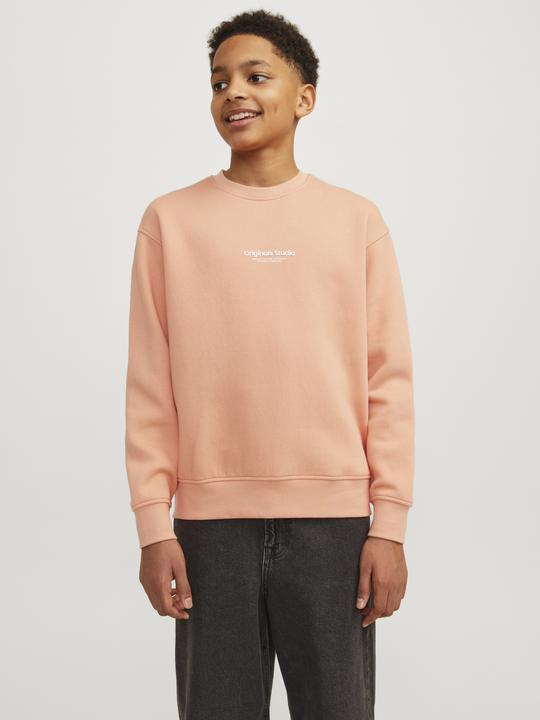 Actual product image Jack & Jones Jorvesterbro Sweat Crew Neck Bn Mni (122)