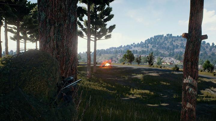 Immagine prodotto Sony PlayerUnknown's Battlegrounds (PS4, DE)