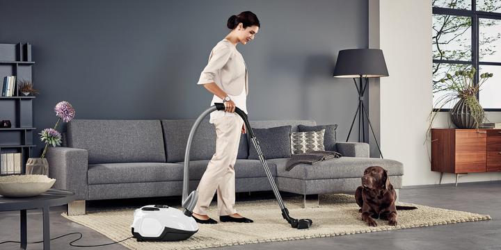 Actual product image AEG VX7-2-IW-S Cylinder Vacuum Dry Dust Bag