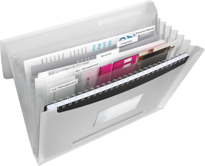 Actual product image Esselte Vivida (A4, 1 x)