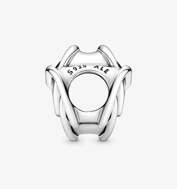 Immagine prodotto Pandora Famiglia di fascino per sempre (Argento 925)