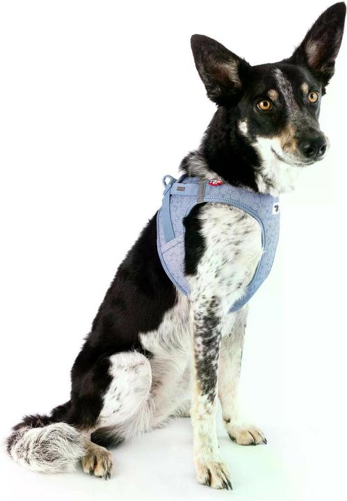 Image du produit Curli Harnais Vest Air-Mesh L SE24, Bleu Élémentaire (L, Chien, Général)