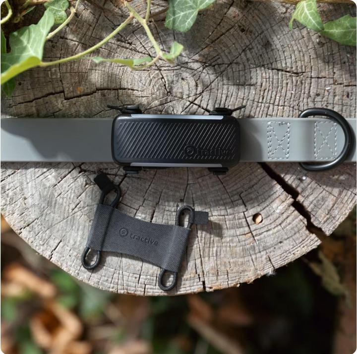 Immagine prodotto Tractive GPS Dog 6 - Clip di gomma (Cane, Sport cane)