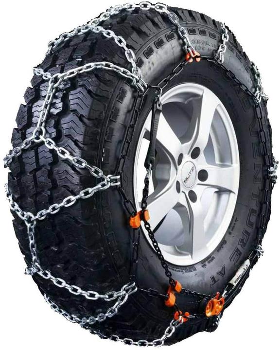 Weissenfels Rex TR RTR Gruppe 7