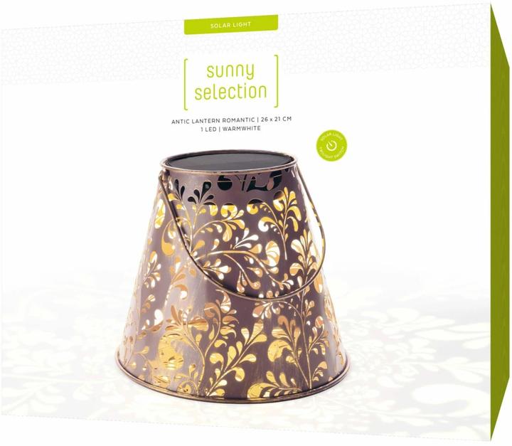 Actual product image STT Antic Romantic