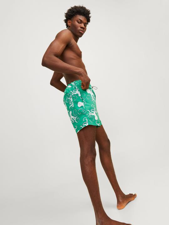 Image du produit Jack & Jones Regular Fit Regular Fit Maillots de bain Regular Fit Maillots de bain (M)