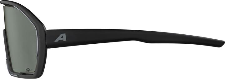 Image du produit ALPINA SPORTS Bonfire Q-Lite (Noir mat, Argent)