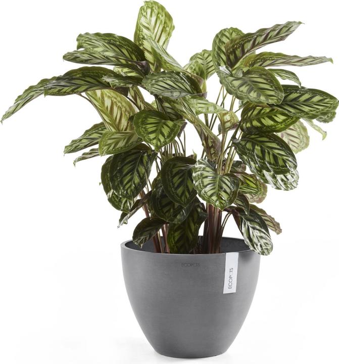Produktbild Ecopots Antwerp (30 cm)
