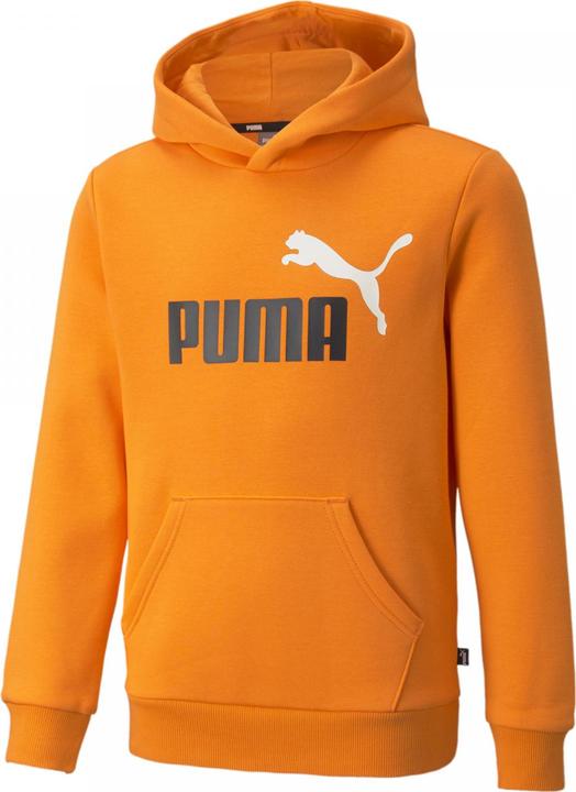 Puma ESS+ 2 Col Big Logo Hoodie FL B (128)
