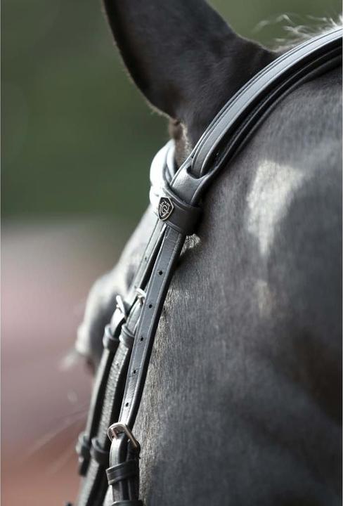 Actual product image Kerbl Snaffle bridle Cancun black, Cob