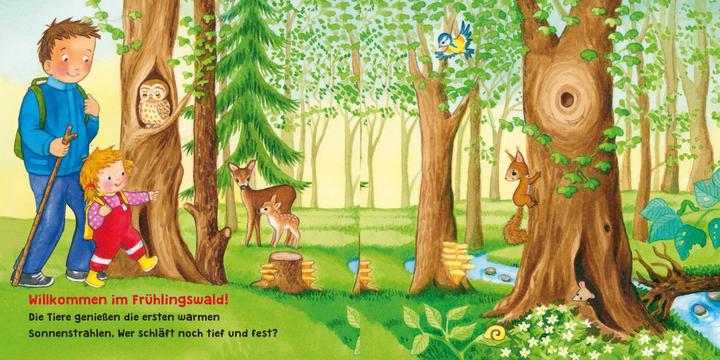 Produktbild Mein Lieblingsbuch vom Wald (Deutsch)