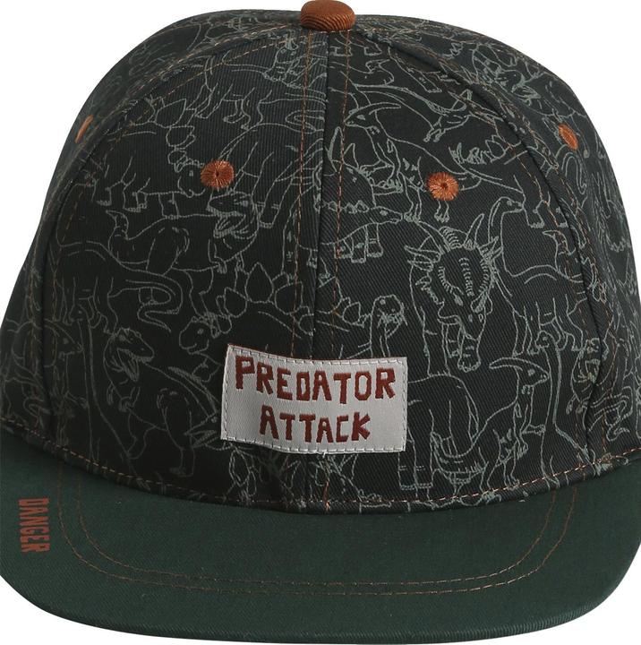 Actual product image Vertbaudet Boys cap, dinosaur (152, 164)