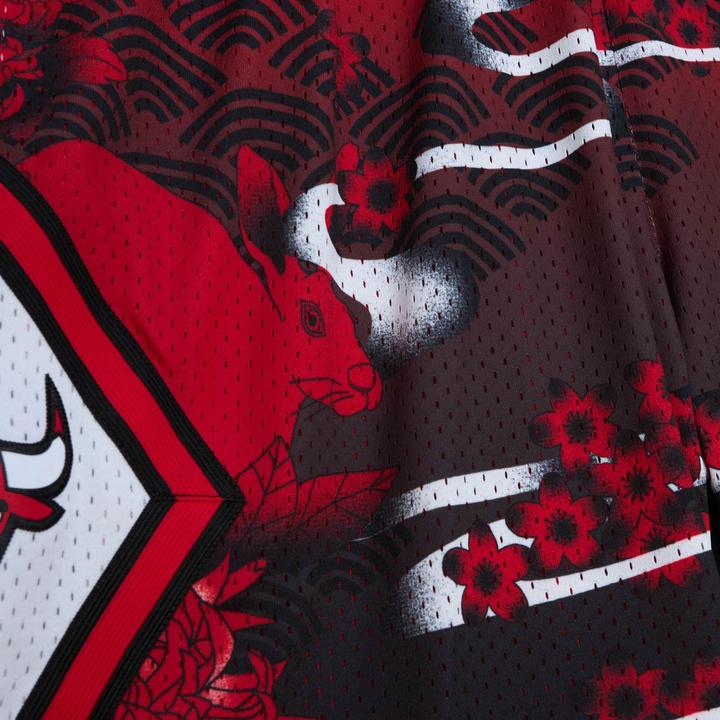 Actual product image Mitchell & Ness M&N NBA ASIAN Swingman 5.0 Boston Chicago Bulls (XXL)