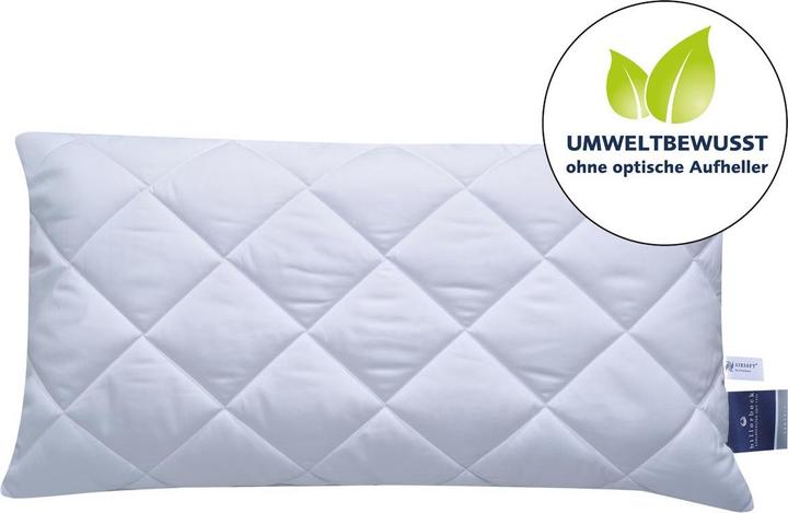 Produktbild Billerbeck Variolux® (40 x 80 cm)