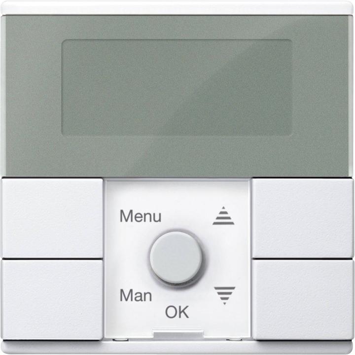 Image du produit Merten Module d'horloge programmable, blanc polaire, système M MEG5755-0419
